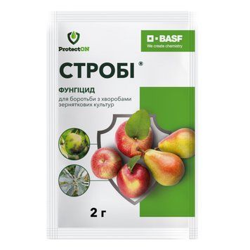 Фунгіцид Стробі 2г, ProtectON фото