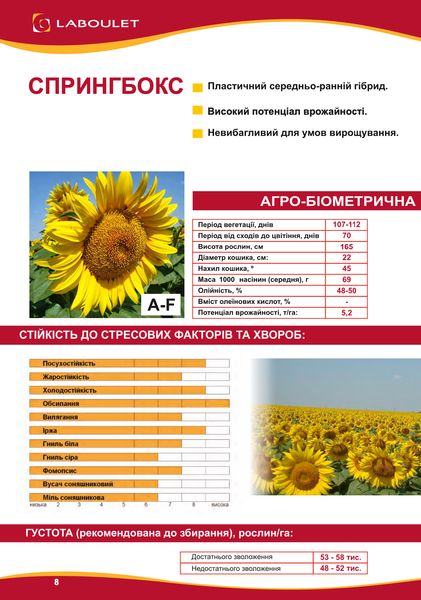 Насіння соняшника Спрингбокс Laboulet класичний фото