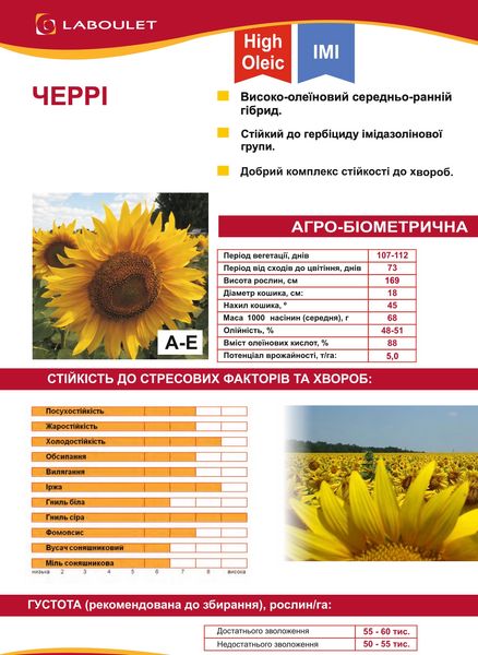 Семена подсолнечника Черри Laboulet под евролайтинг фото