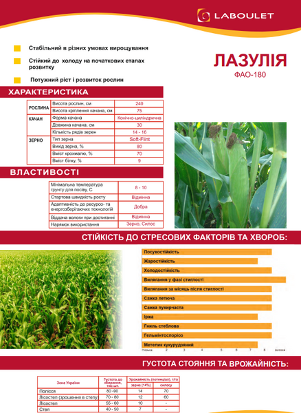 Семена кукурузы Лазулия Laboulet (ФАО 180 ) фото