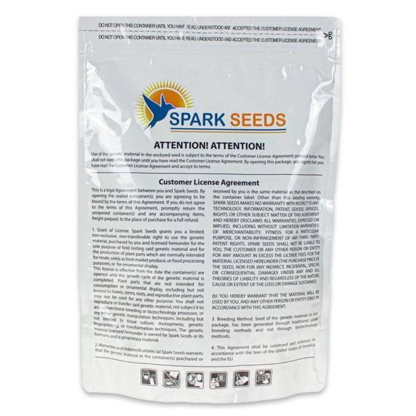 Кукуруза Добрыня F1, семена 2500 шт, Lark Seeds фото