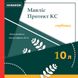 Гербіцид Маяліс Протект 10л, нікосульфурон, Новакем фото 2