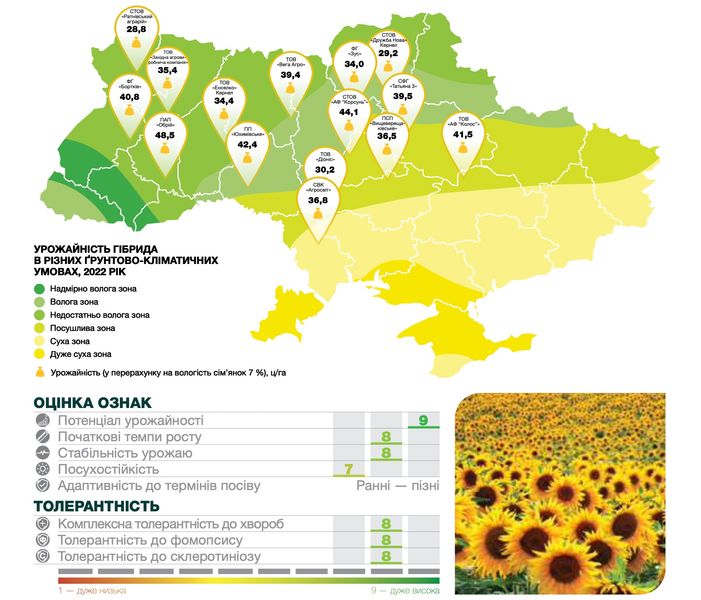 Насіння соняшника Суміко HTS Syngenta під гранстар фото